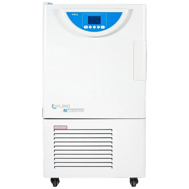 BEING BIC Series cooling incubator for bacterial research with digital control panel