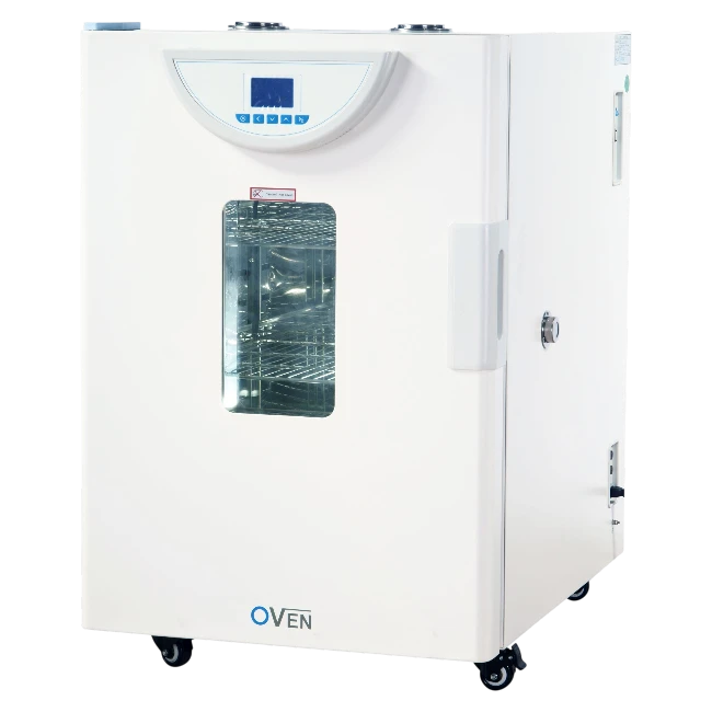 BPG-9040A 40L precision forced air drying oven with LCD controller, 250°C maximum, ±1°C accuracy, stainless steel rounded-corner chamber, side test port, and optional RS-485 connectivity for pharmaceutical, research, and biotechnology laboratory drying applications_Being India
